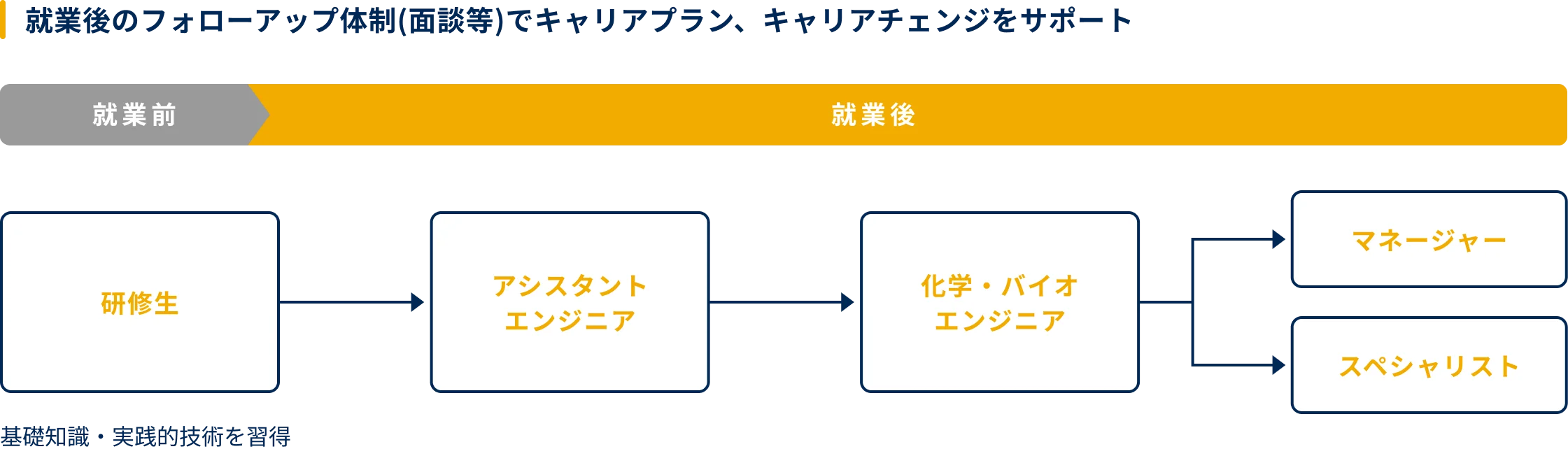 化学・バイオエンジニアのキャリア例