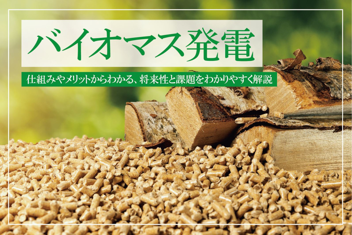 バイオマス発電とは？仕組みやメリットから将来性と課題をわかりやすく解説