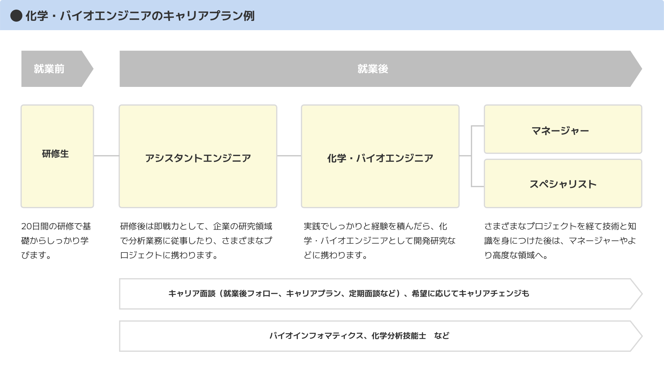 キャリアプン