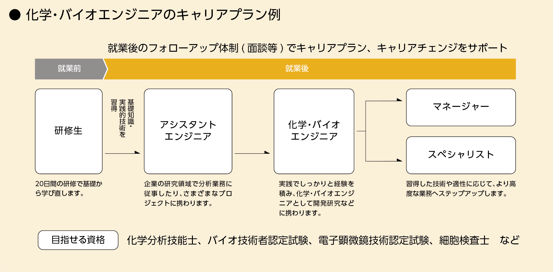 キャリアプン